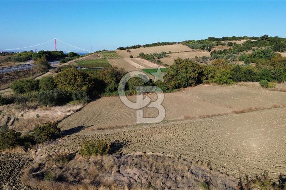 LAPSEKİ SULUCADA 3.567 M² SATILIK TARLA