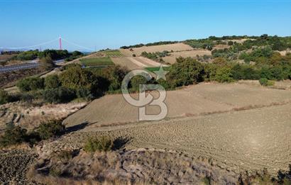 LAPSEKİ SULUCADA 3.567 M² SATILIK TARLA