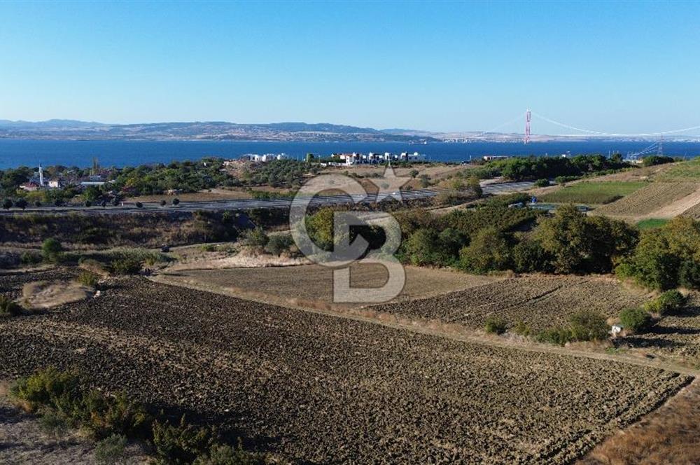 LAPSEKİ SULUCADA 3.567 M² SATILIK TARLA