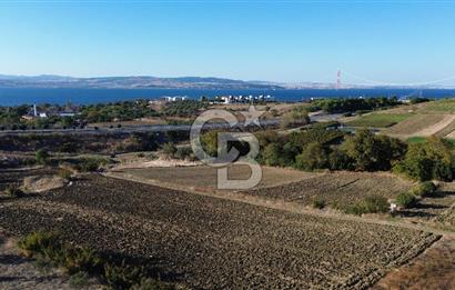LAPSEKİ SULUCADA 3.567 M² SATILIK TARLA