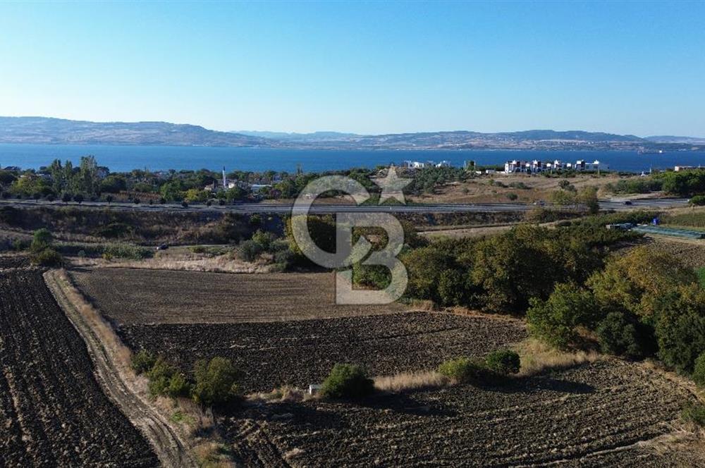 LAPSEKİ SULUCADA 3.567 M² SATILIK TARLA