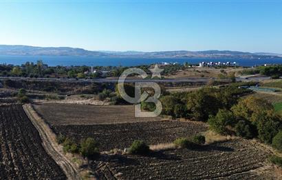 LAPSEKİ SULUCADA 3.567 M² SATILIK TARLA