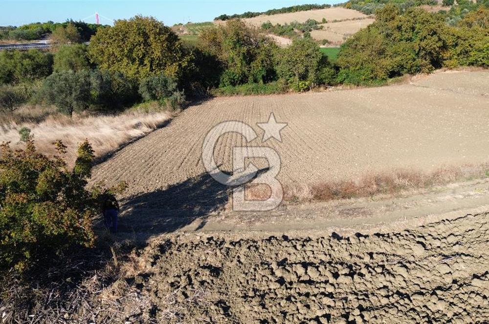 LAPSEKİ SULUCADA 3.567 M² SATILIK TARLA