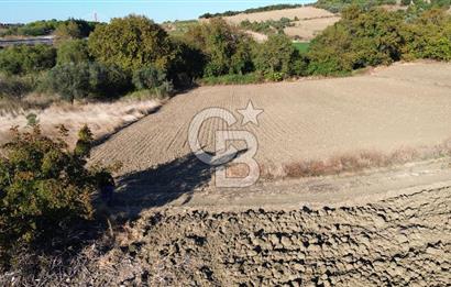 LAPSEKİ SULUCADA 3.567 M² SATILIK TARLA