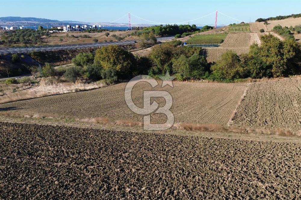 LAPSEKİ SULUCADA 3.567 M² SATILIK TARLA