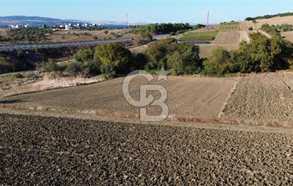 LAPSEKİ SULUCADA 3.567 M² SATILIK TARLA