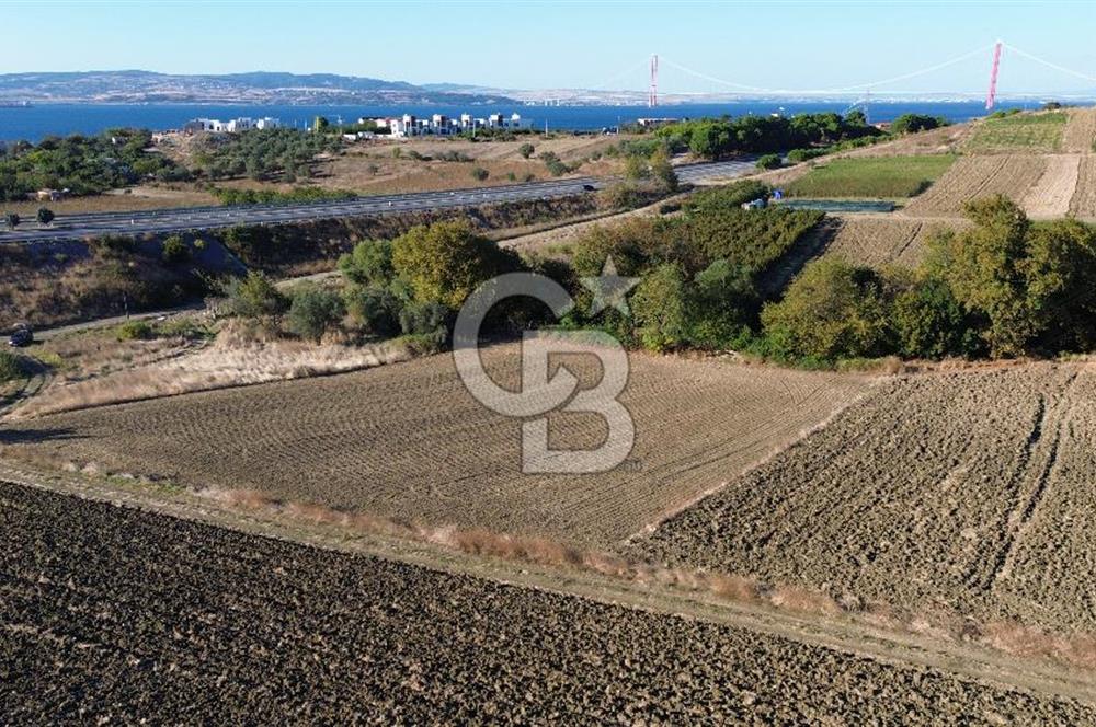LAPSEKİ SULUCADA 3.567 M² SATILIK TARLA