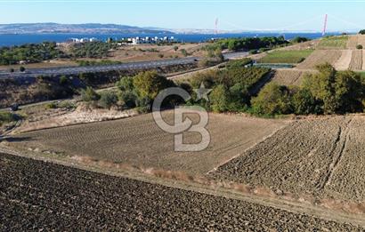 LAPSEKİ SULUCADA 3.567 M² SATILIK TARLA