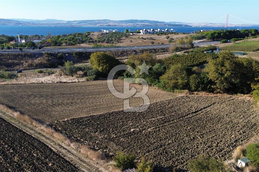 LAPSEKİ SULUCADA 3.567 M² SATILIK TARLA