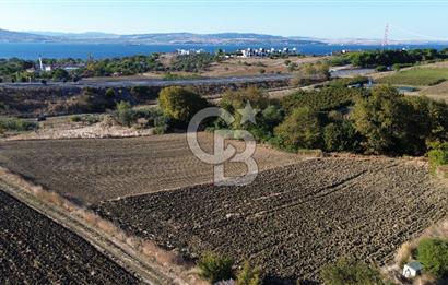 LAPSEKİ SULUCADA 3.567 M² SATILIK TARLA
