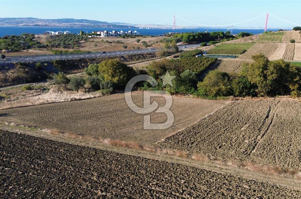 LAPSEKİ SULUCADA 3.567 M² SATILIK TARLA