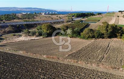 LAPSEKİ SULUCADA 3.567 M² SATILIK TARLA