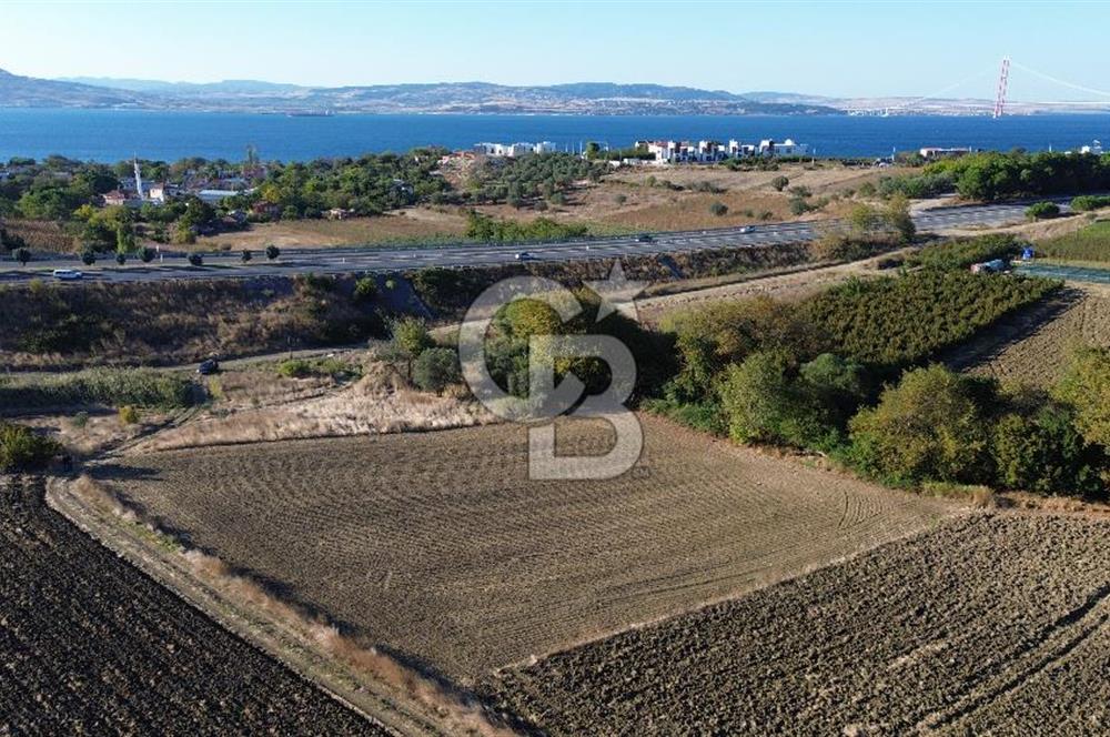 LAPSEKİ SULUCADA 3.567 M² SATILIK TARLA