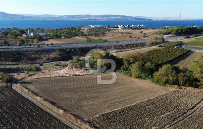 LAPSEKİ SULUCADA 3.567 M² SATILIK TARLA