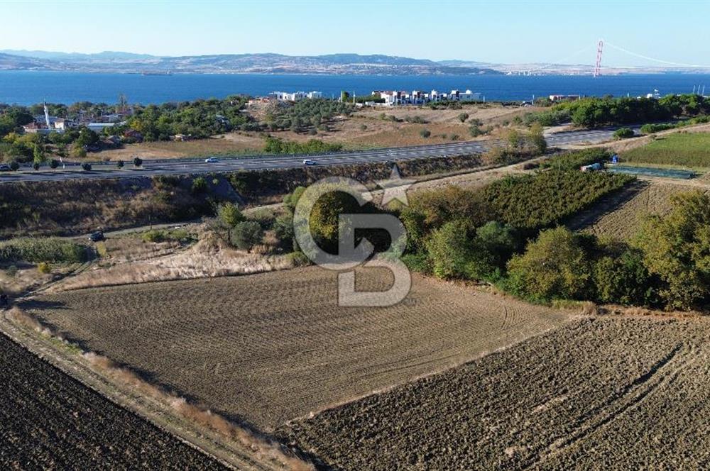 LAPSEKİ SULUCADA 3.567 M² SATILIK TARLA