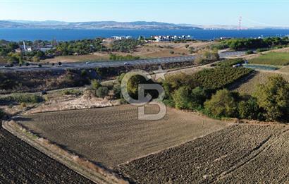 LAPSEKİ SULUCADA 3.567 M² SATILIK TARLA