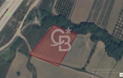 LAPSEKİ SULUCADA 3.567 M² SATILIK TARLA