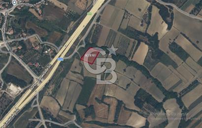 LAPSEKİ SULUCADA 3.567 M² SATILIK TARLA