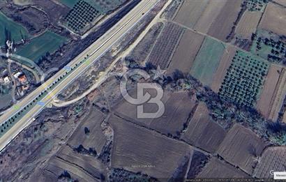 LAPSEKİ SULUCADA 3.567 M² SATILIK TARLA