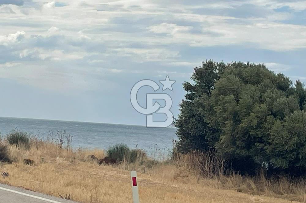 çanakkale sedülbahirde satılık tarla