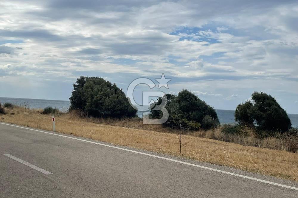 çanakkale sedülbahirde satılık tarla