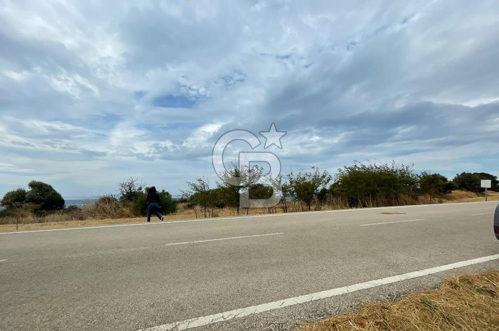 çanakkale sedülbahirde satılık tarla