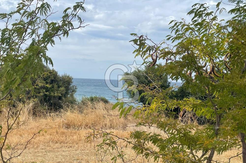 çanakkale sedülbahirde satılık tarla