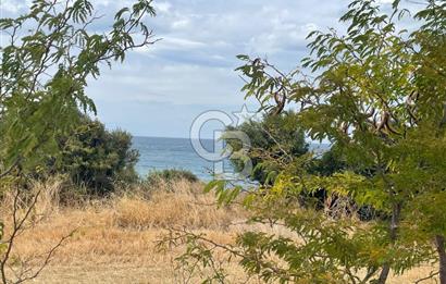 çanakkale sedülbahirde satılık tarla