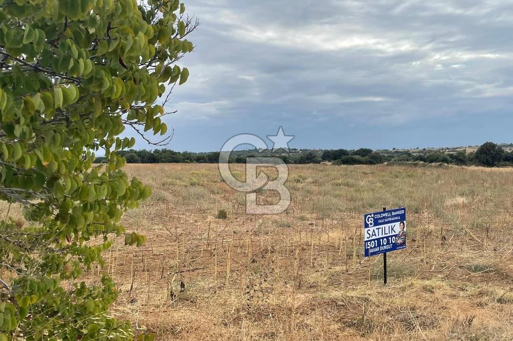 çanakkale sedülbahirde satılık tarla