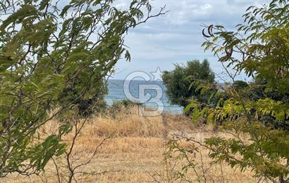çanakkale sedülbahirde satılık tarla