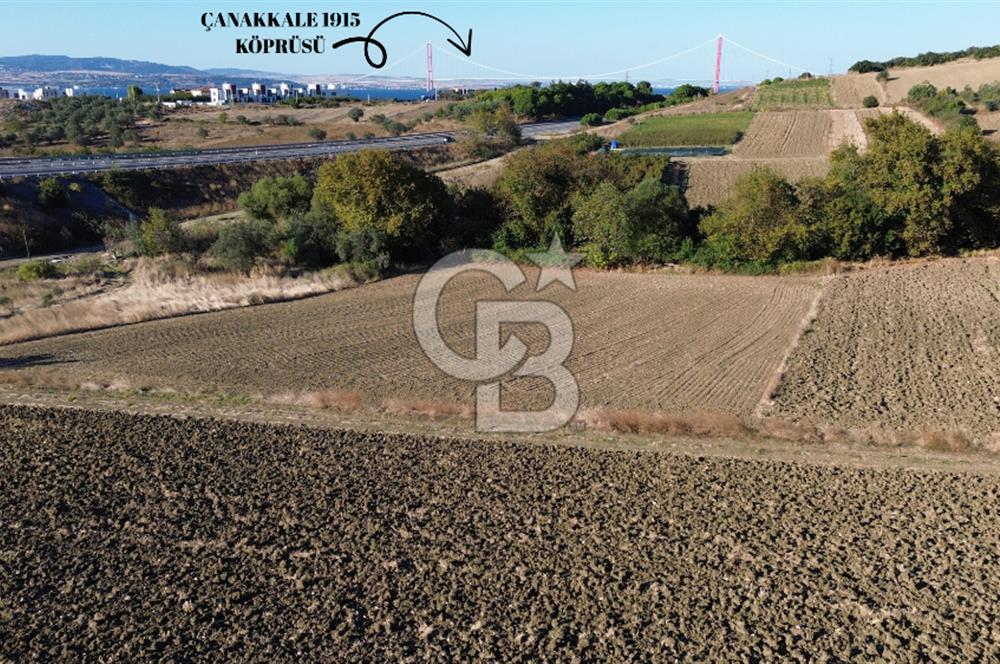 LAPSEKİ SULUCADA 3.567 M² SATILIK TARLA