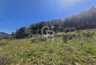 MUĞLA MENTEŞE DAĞPINAR’DA SATILIK 3.996 M² TARLA - 7 - 376518