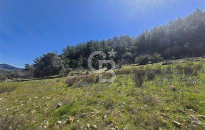 MUĞLA MENTEŞE DAĞPINAR’DA SATILIK 3.996 M² TARLA