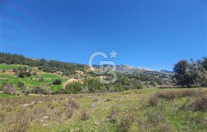 MUĞLA MENTEŞE DAĞPINAR’DA SATILIK 3.996 M² TARLA