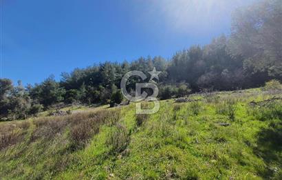 MUĞLA MENTEŞE DAĞPINAR’DA SATILIK 3.996 M² TARLA