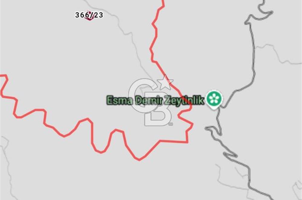 MUĞLA MENTEŞE DAĞPINAR’DA SATILIK 3.996 M² TARLA