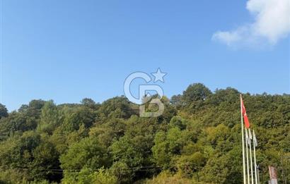 Bursa inegöl yeniköyde arsa