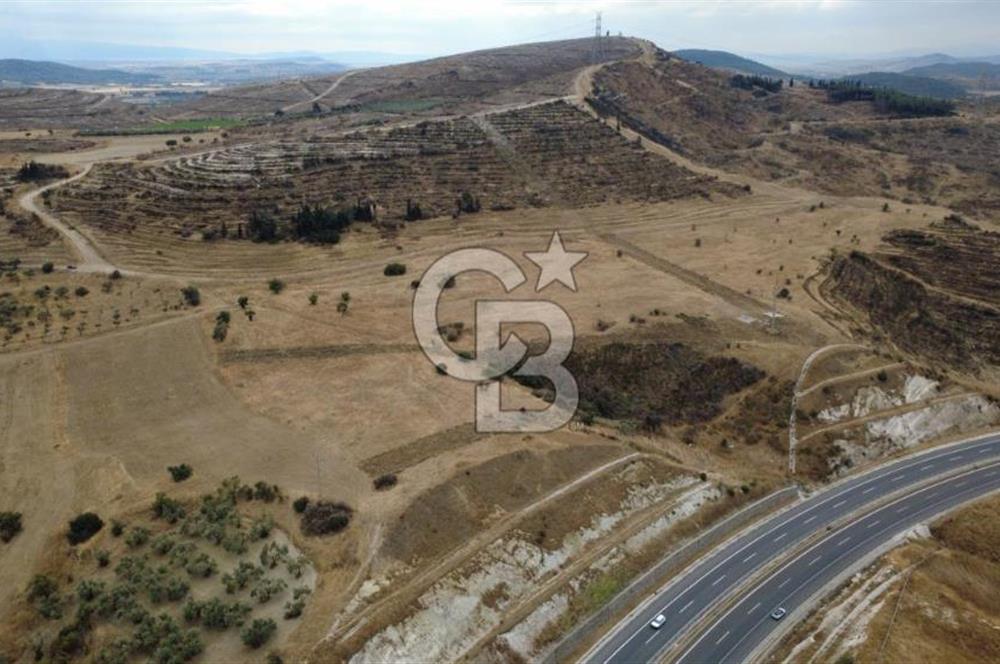 ALİAĞA BOZKÖYDE 33686m2 SATILIK TARLA
