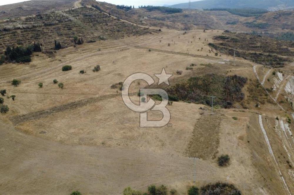 ALİAĞA BOZKÖYDE 33686m2 SATILIK TARLA