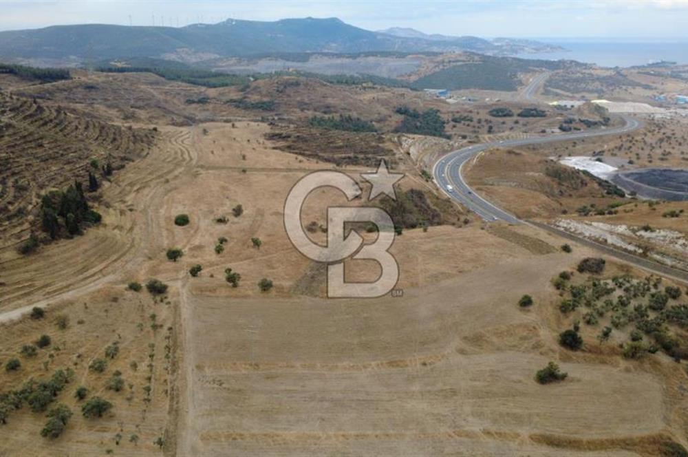 ALİAĞA BOZKÖYDE 33686m2 SATILIK TARLA