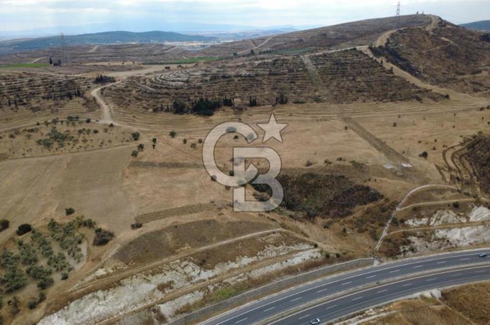 ALİAĞA BOZKÖYDE 33686m2 SATILIK TARLA