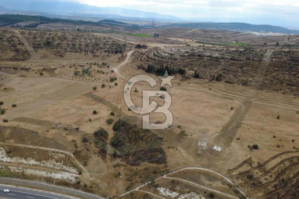 ALİAĞA BOZKÖYDE 33686m2 SATILIK TARLA