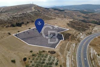 ALİAĞA BOZKÖYDE 33686m2 SATILIK TARLA - 1 - 376612