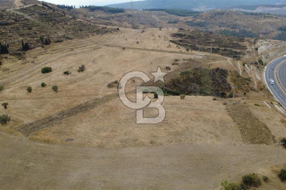 ALİAĞA BOZKÖYDE 33686m2 SATILIK TARLA