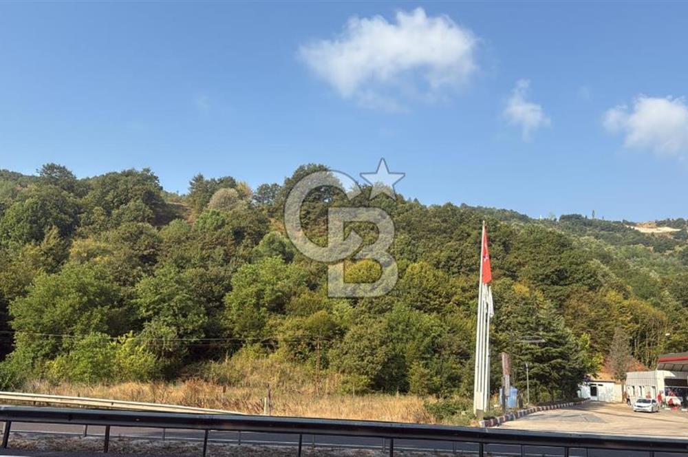 Bursa inegöl yeniköyde arsa