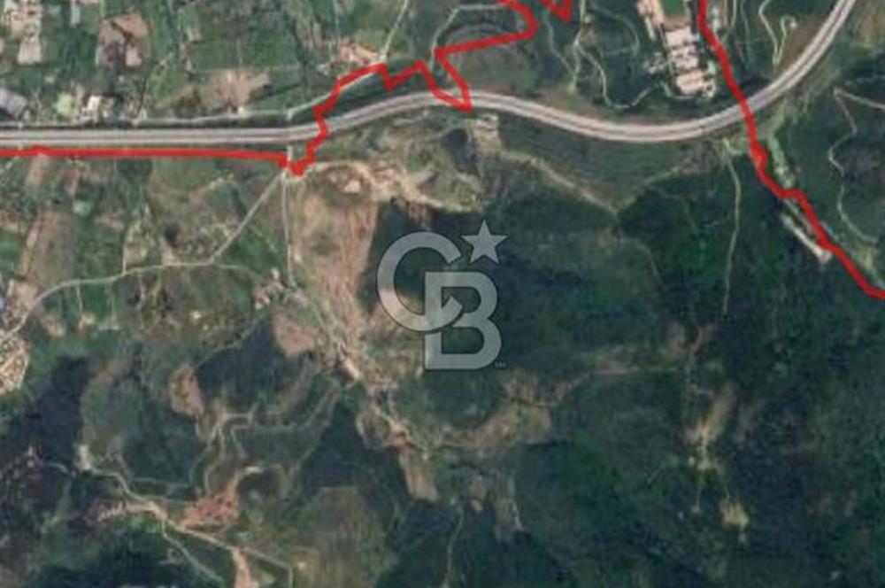 Güzelbahçe Yaka'da Doğayla İç İçe 3749 m² Değerli Satılık Zeytinlik