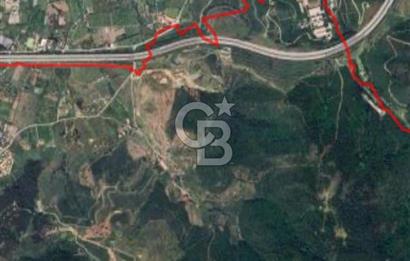 Güzelbahçe Yaka'da Doğayla İç İçe 3749 m² Değerli Satılık Zeytinlik