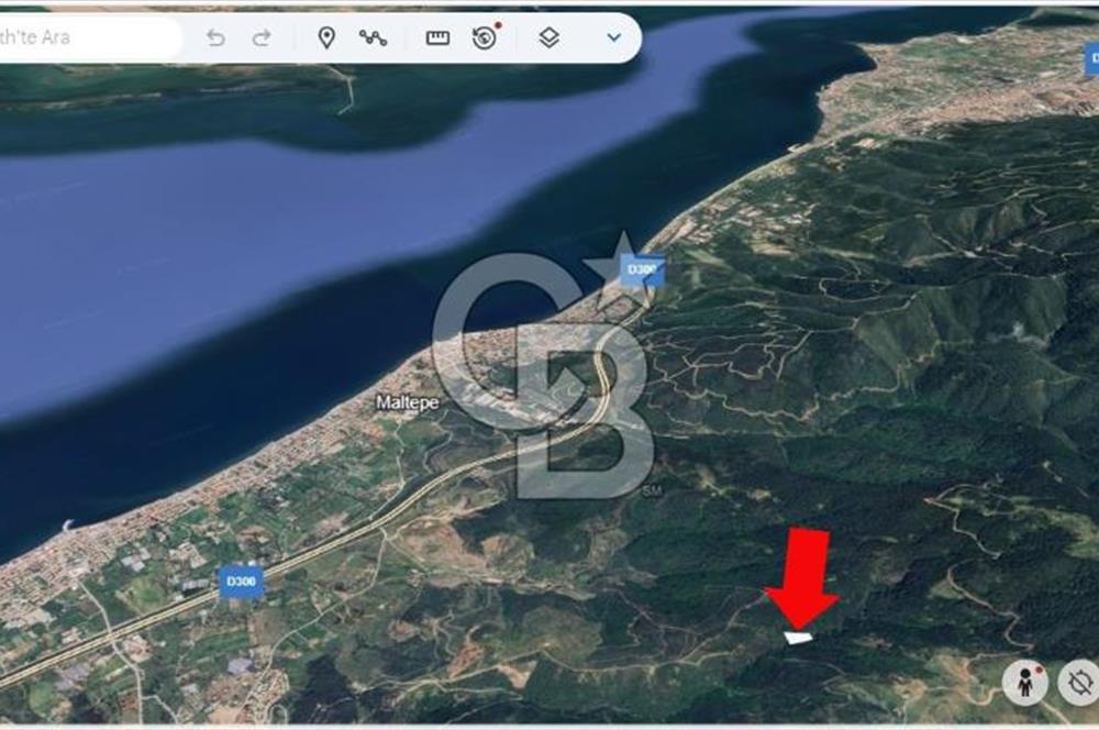 Güzelbahçe Yaka'da Doğayla İç İçe 3749 m² Değerli Satılık Zeytinlik