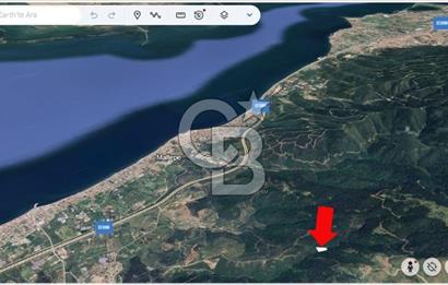Güzelbahçe Yaka'da Doğayla İç İçe 3749 m² Değerli Satılık Zeytinlik