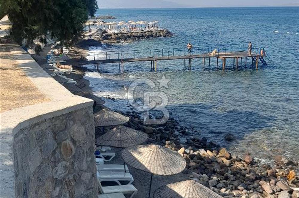 Bodrum'da En Çok Tercih Edilen Tarihlerde Devremülk | 10-24 ağustos